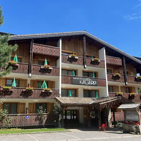 Hotel Igloo-3